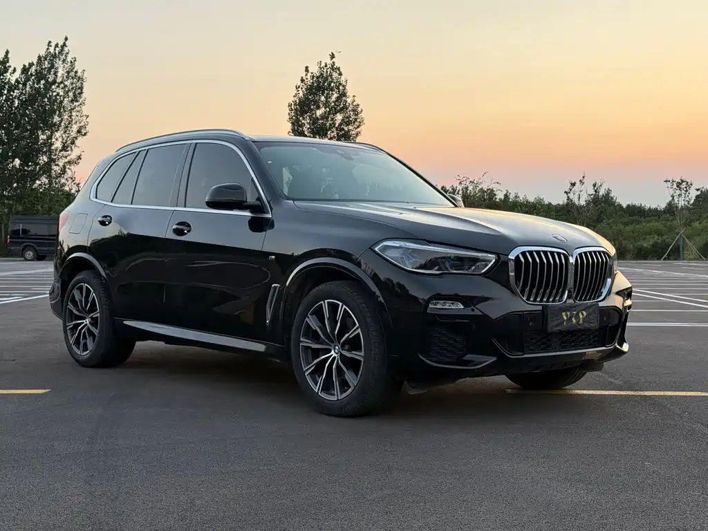 BMW X5 (Import) — миниатюра 3