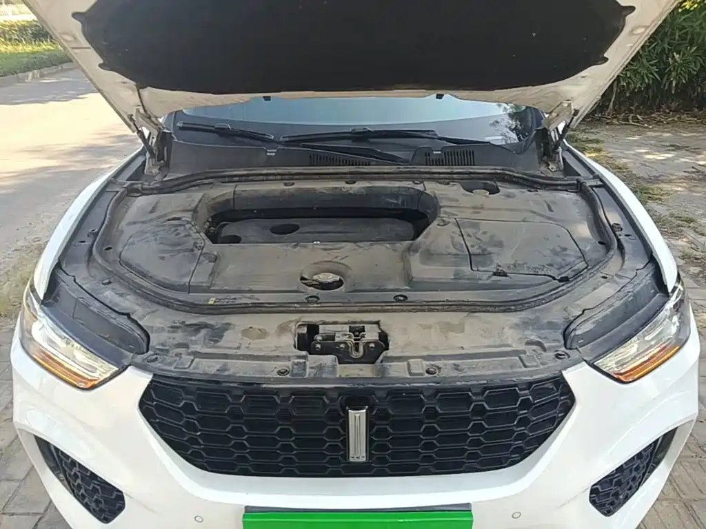 Wey Wey VV5 — миниатюра 20