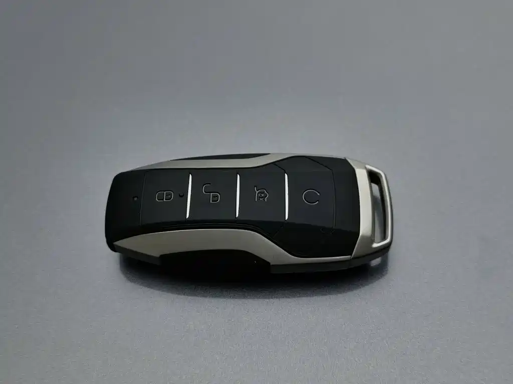 BYD Pro — миниатюра 19