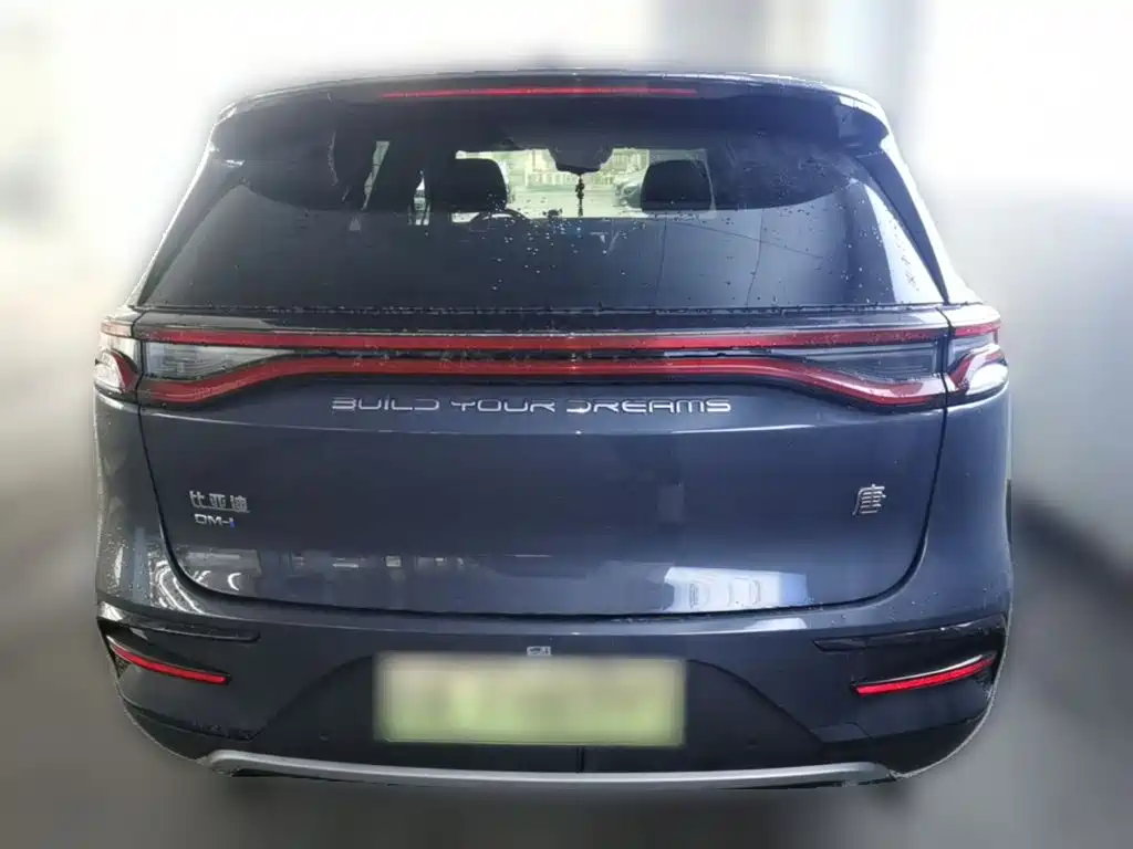 BYD Tang New Energy — миниатюра 8