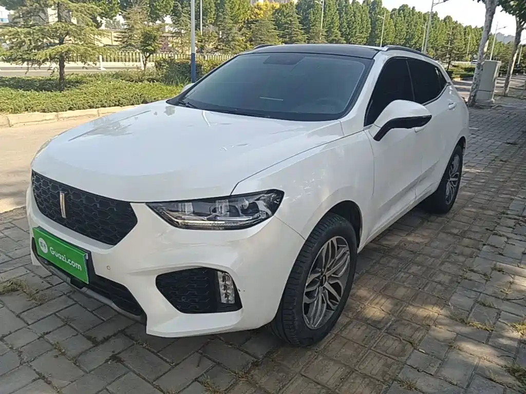 Wey Wey VV5 — миниатюра 2