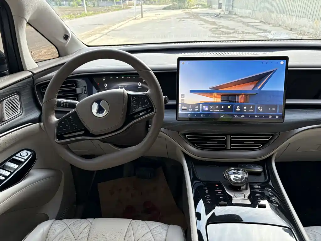 Denza Denza D9 — миниатюра 12