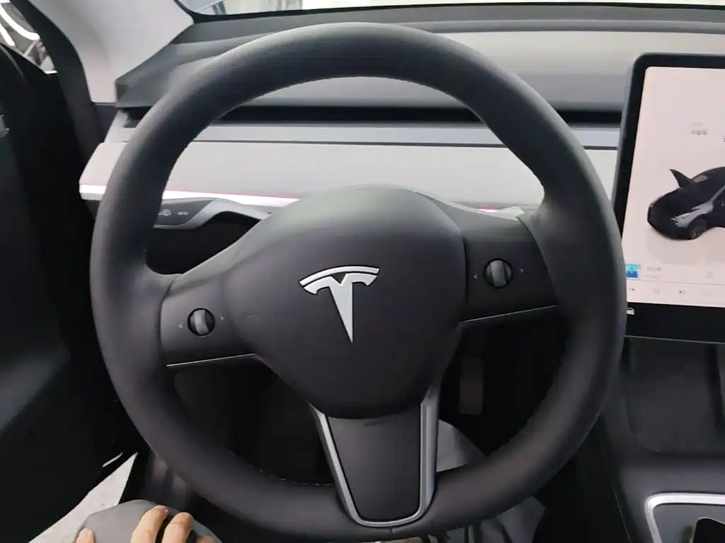 Tesla Model Y — миниатюра 11