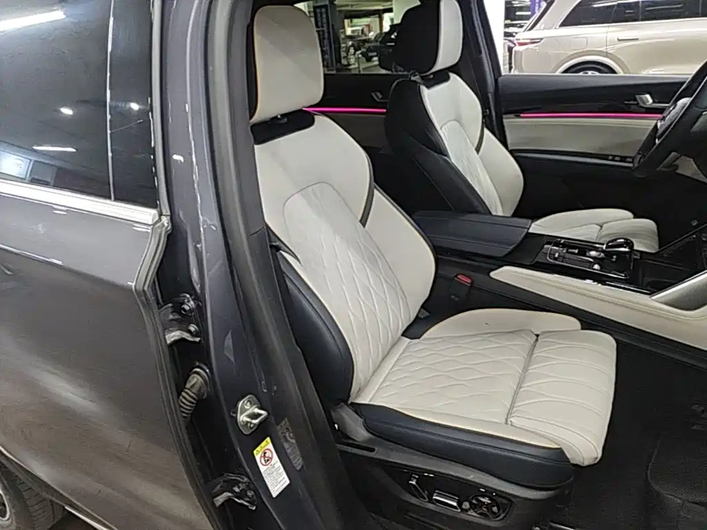BYD Tang New Energy — миниатюра 25