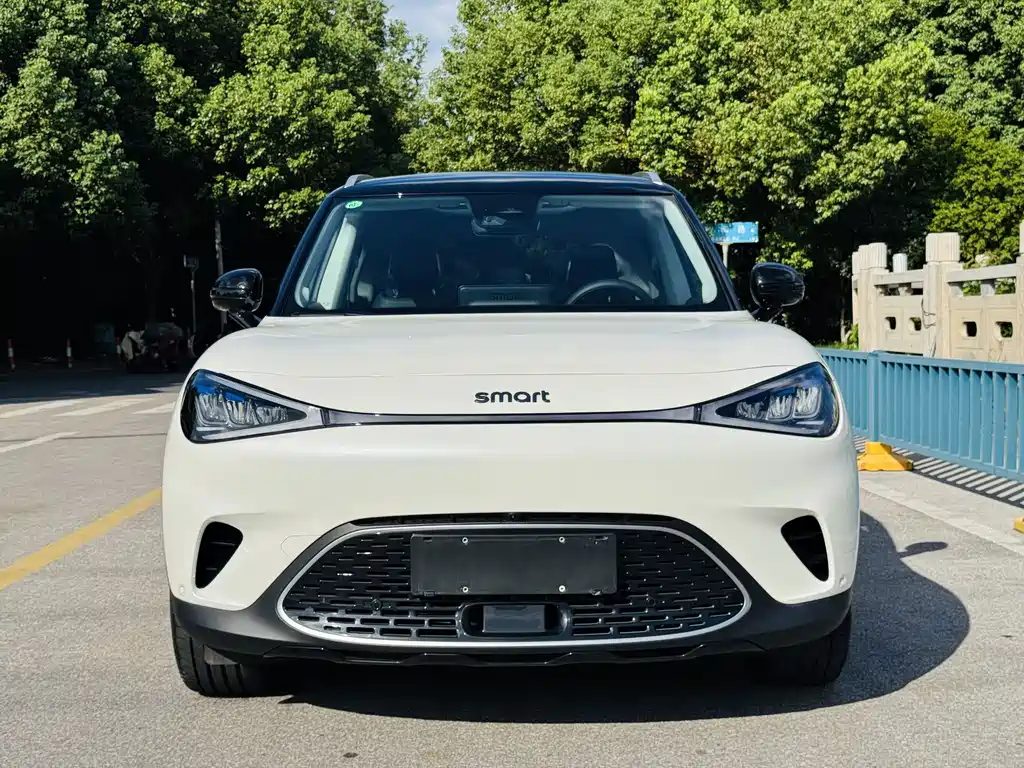 smart Smart #1 — миниатюра 2