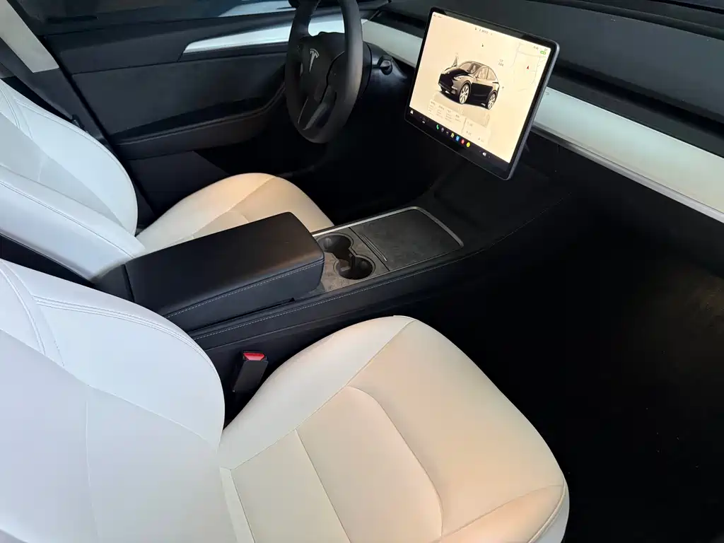 Tesla Model Y — миниатюра 6