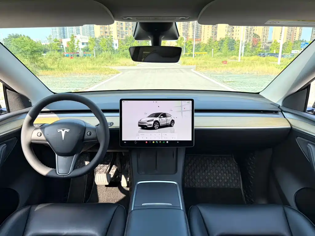 Tesla Model Y — миниатюра 4