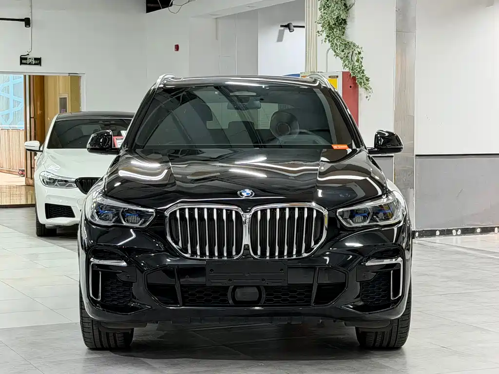 BMW X5 — миниатюра 2