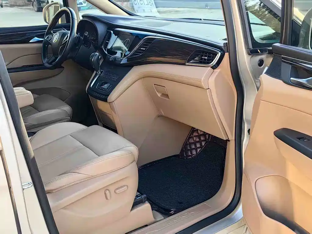 Buick GL8 — миниатюра 12