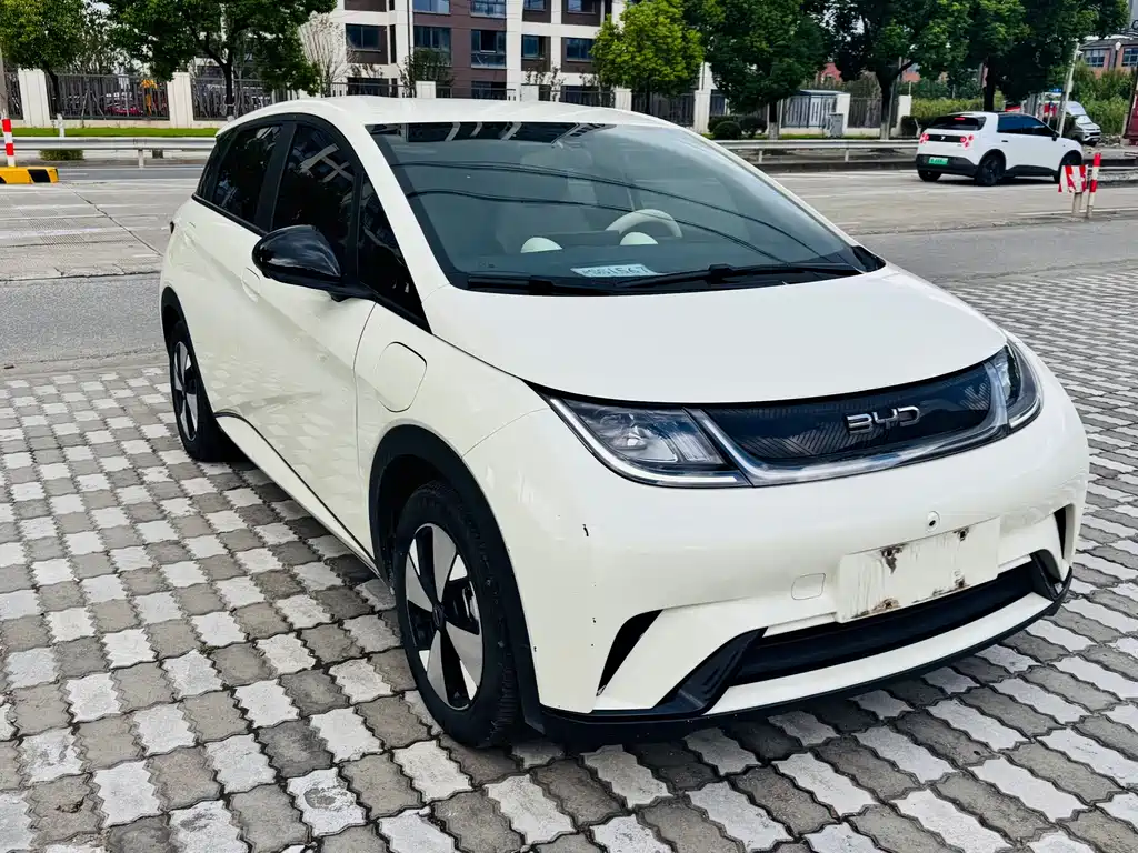 BYD Dolphin — миниатюра 2