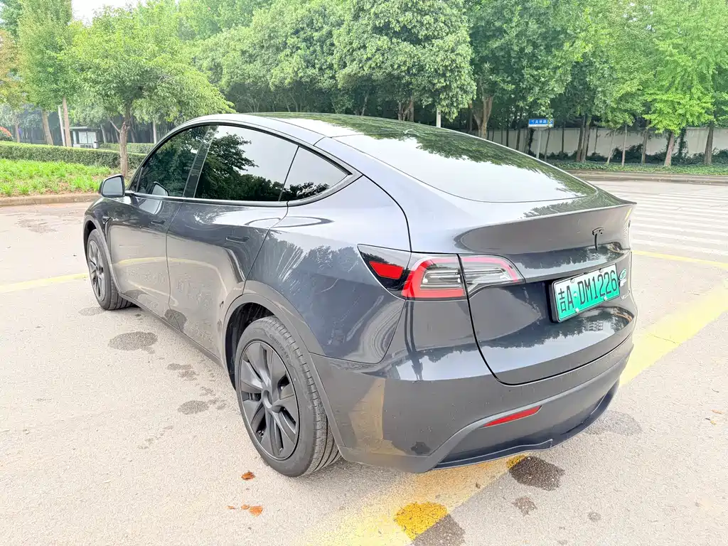 Tesla Model Y — миниатюра 8