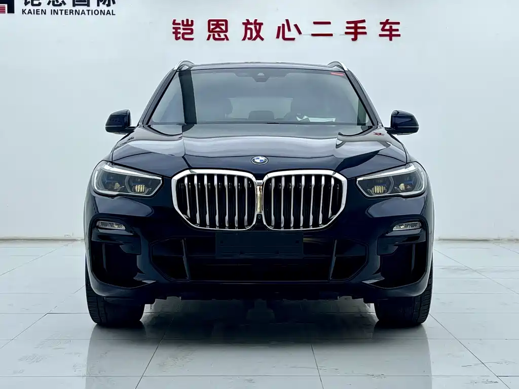BMW X5 (Import) — миниатюра 2
