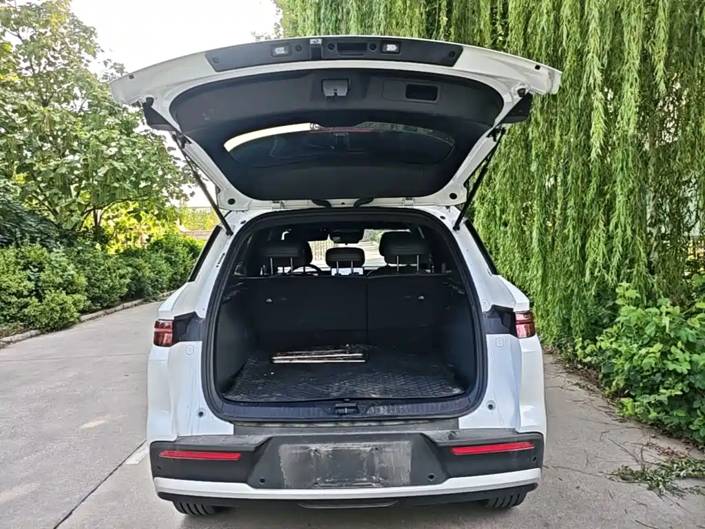 BYD Pro New Energy — миниатюра 19