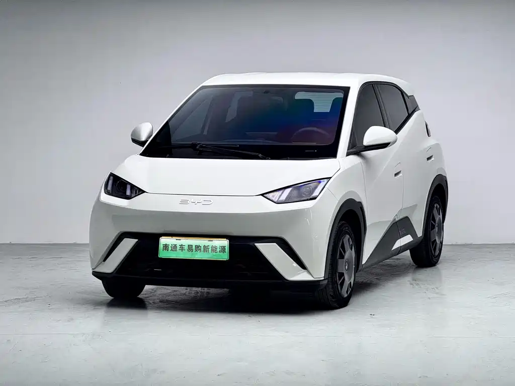 Byd Seagull 2024