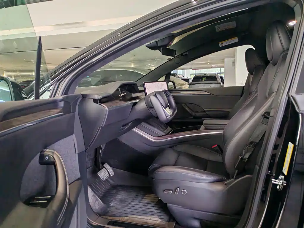 Tesla Model X — миниатюра 4