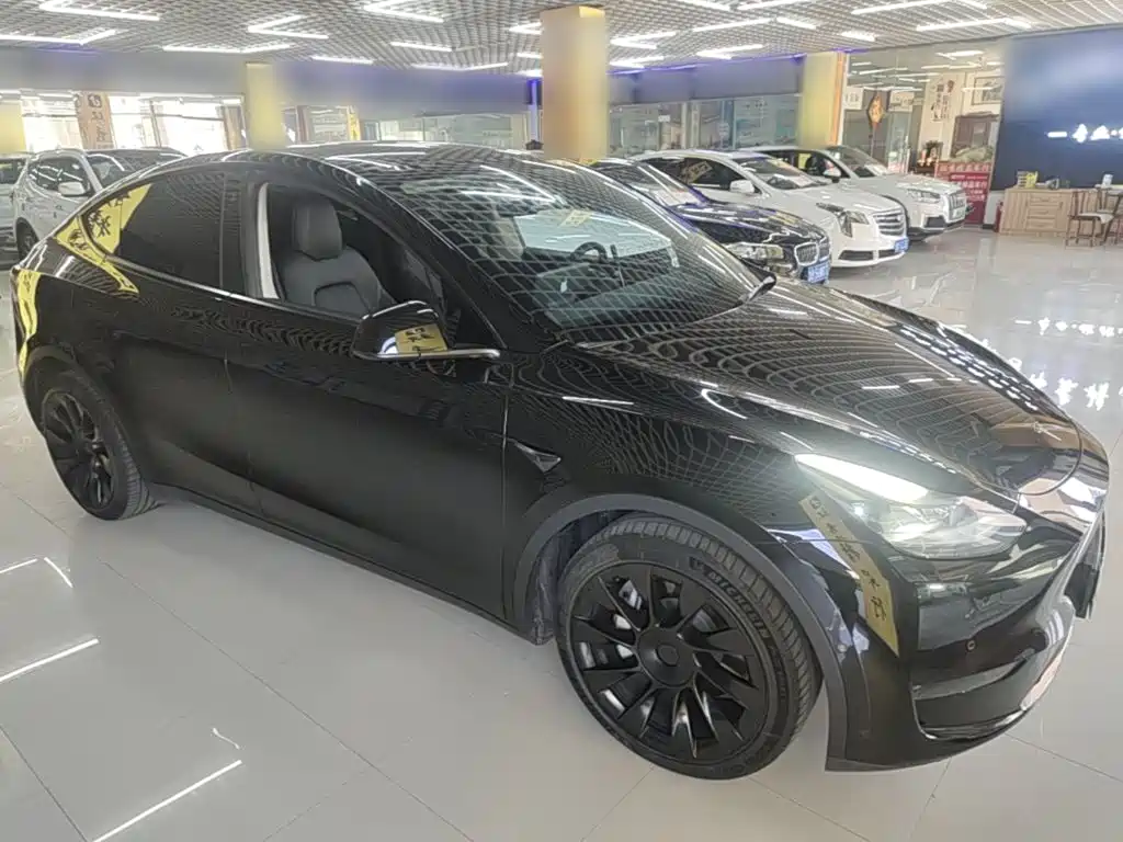 Tesla Model Y — миниатюра 4