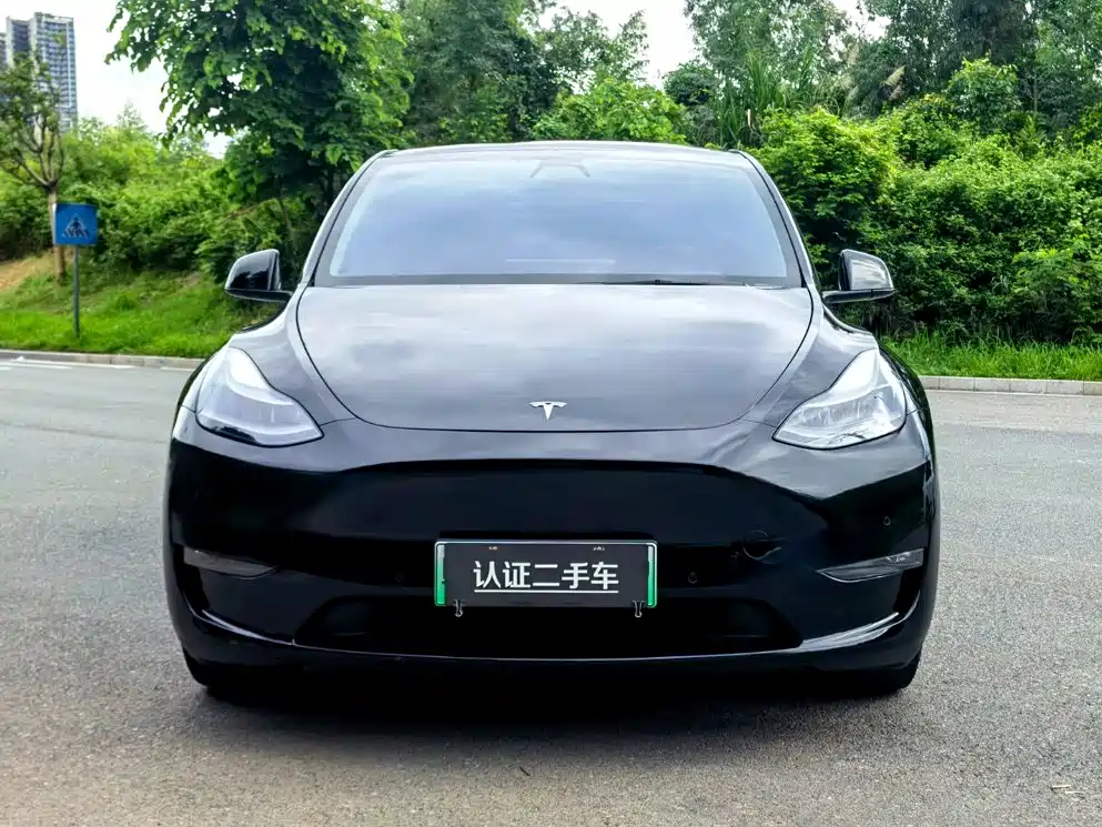 Tesla Model Y — миниатюра 2