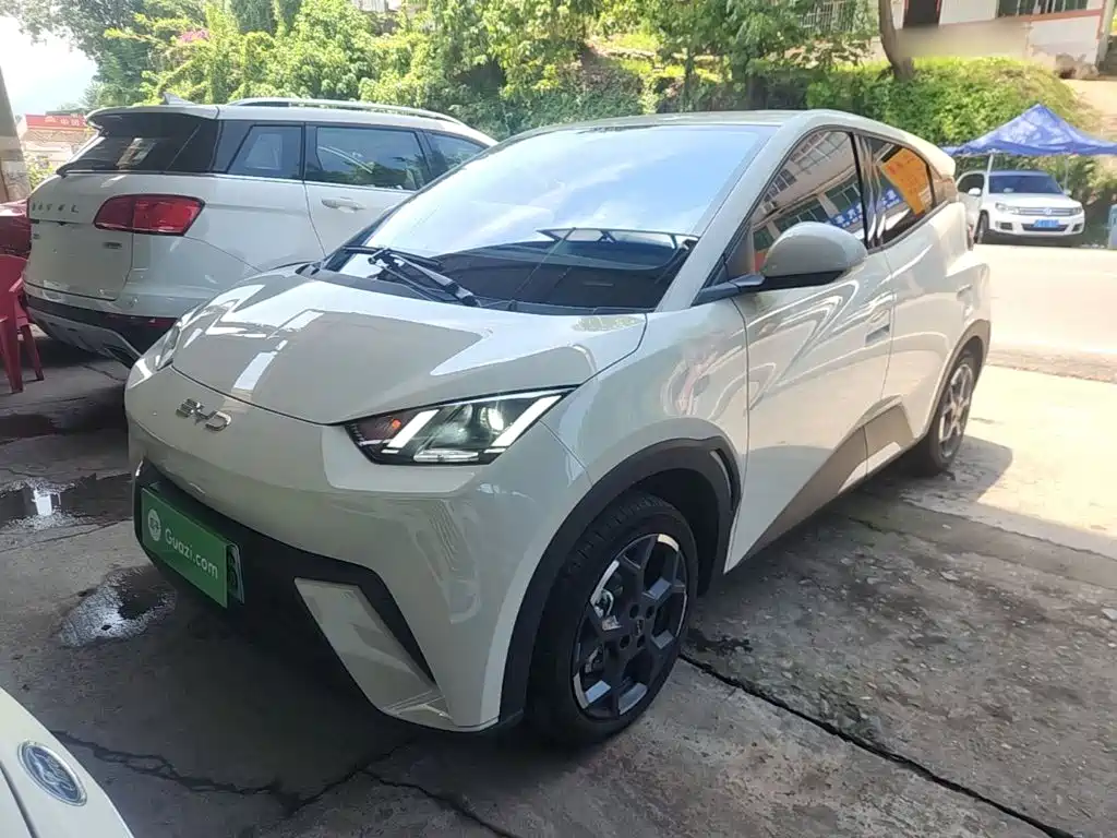 BYD Seagull