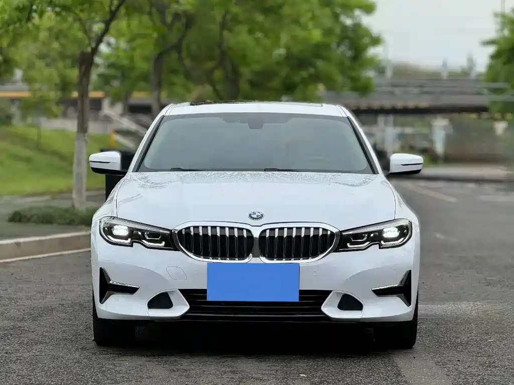 BMW 3 Series 3 2020 325Li