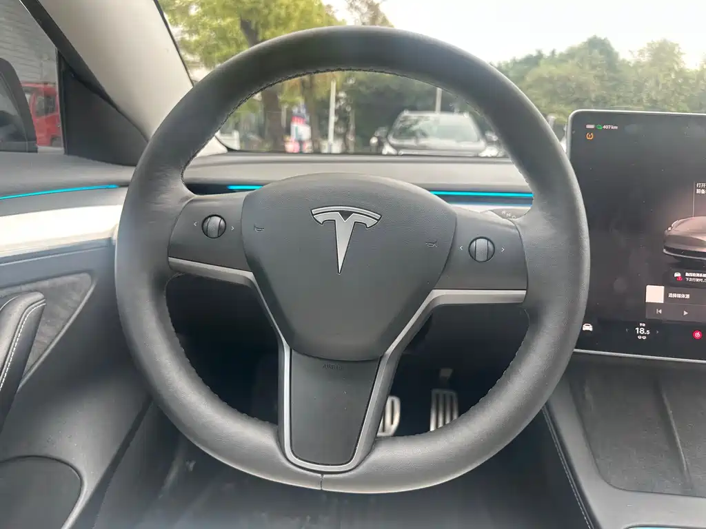Tesla Model 3 2022 Performance
