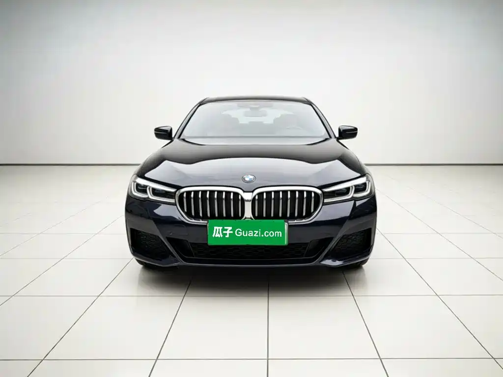 BMW 5 Series New Energy — миниатюра 2