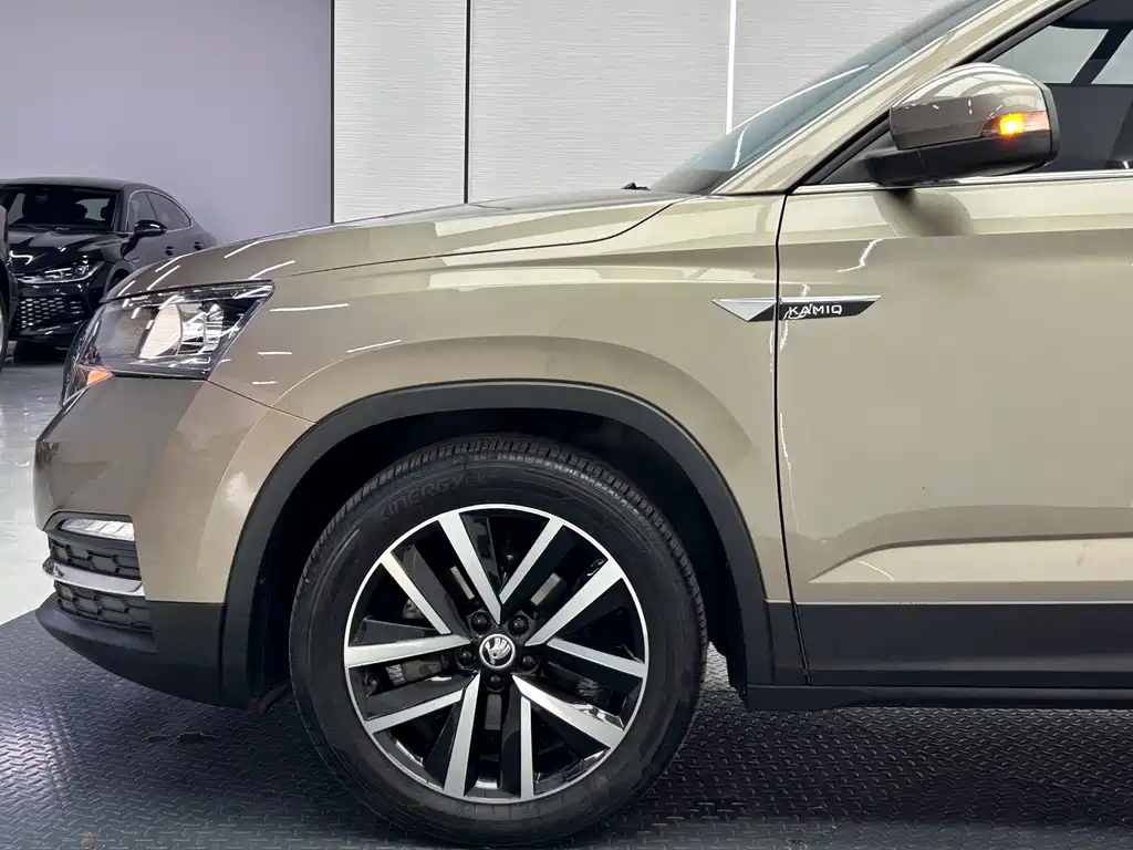 Skoda Kamiq - фото 8