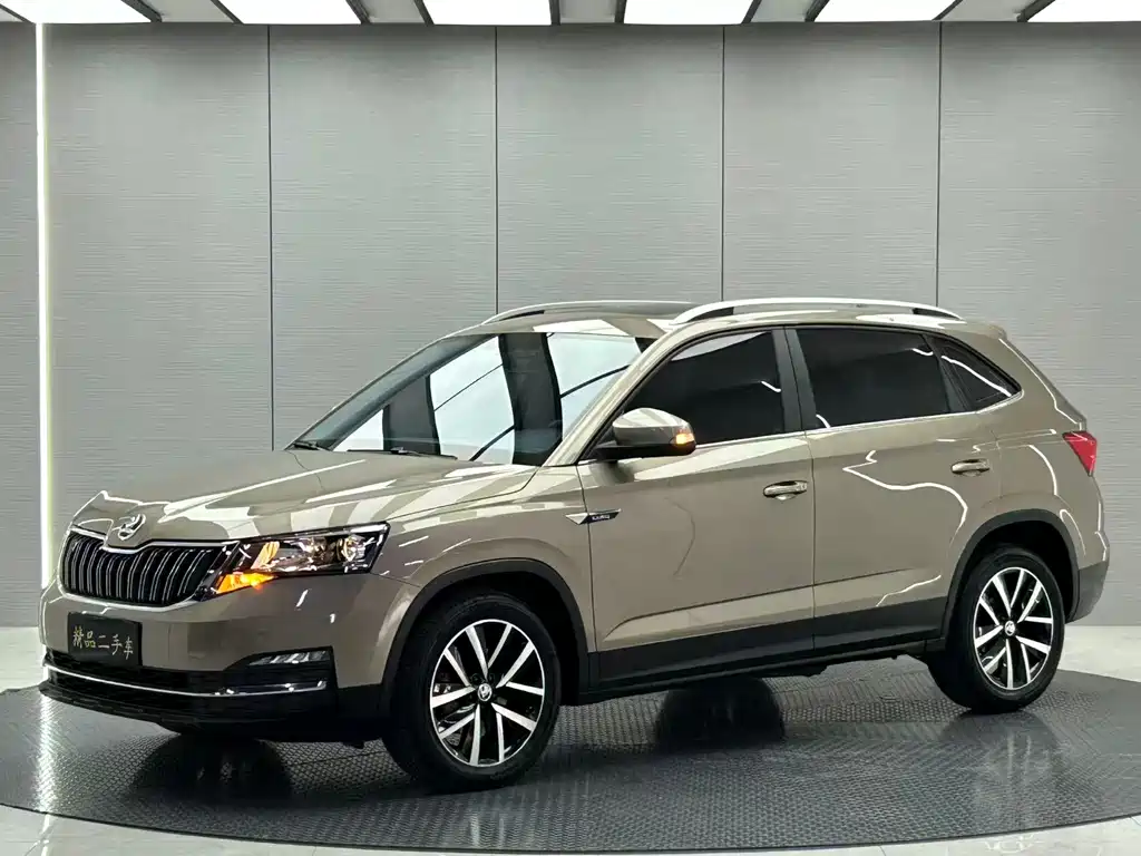 Купить Skoda Kamiq