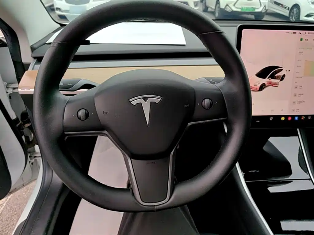 Tesla Model 3 — миниатюра 11