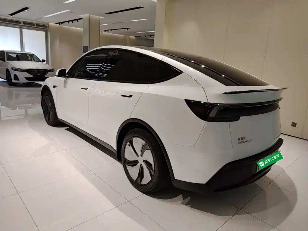 Tesla Model Y — миниатюра 5