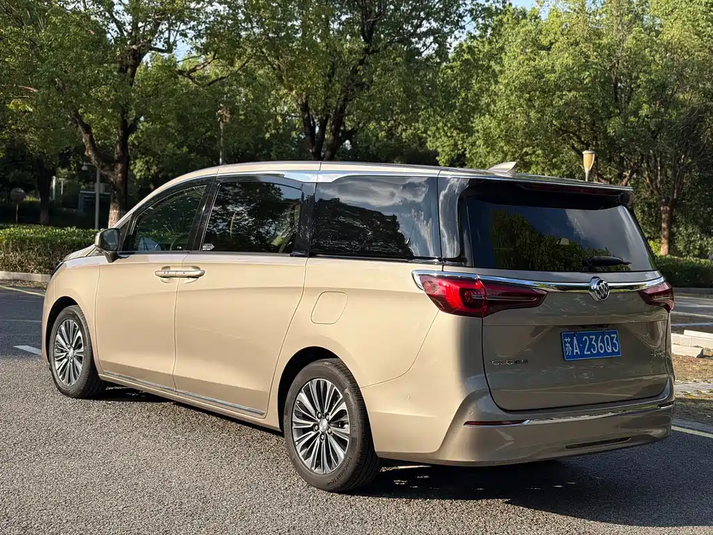 Buick GL8 — миниатюра 15