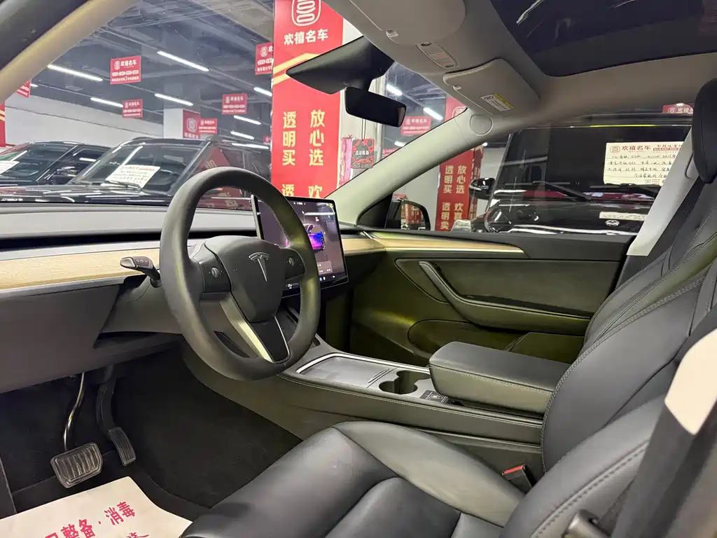 Tesla Model Y — миниатюра 4