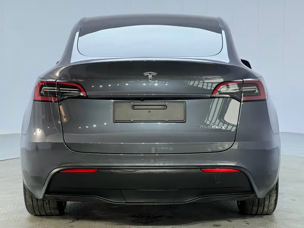 Tesla Model Y — миниатюра 3