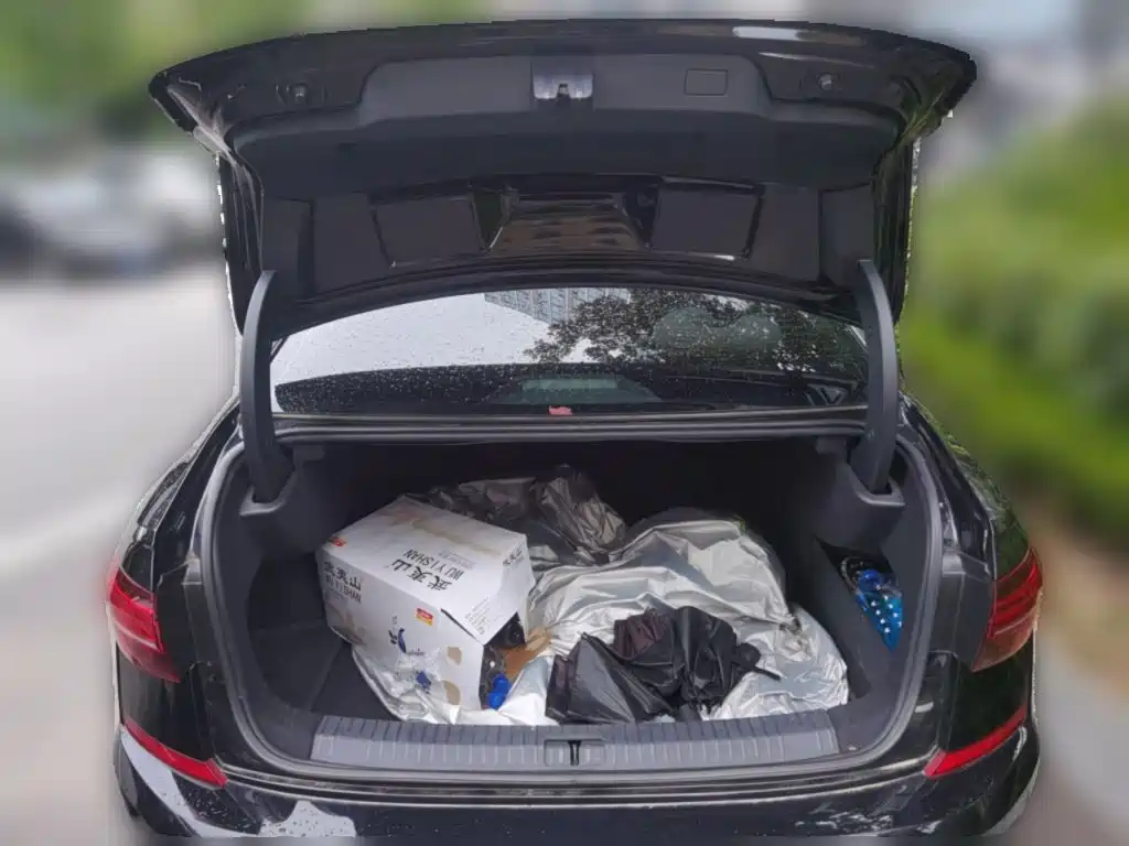 Volkswagen Passat — миниатюра 20
