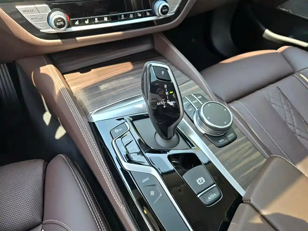 BMW 5 Series 5 2020 530Le