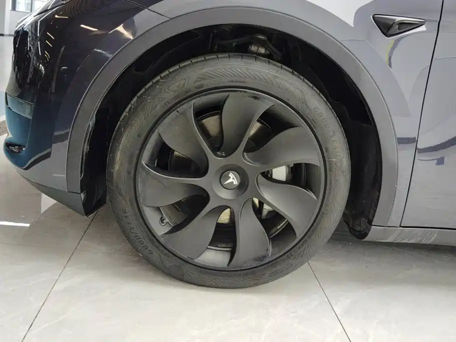 Tesla Model Y — миниатюра 6