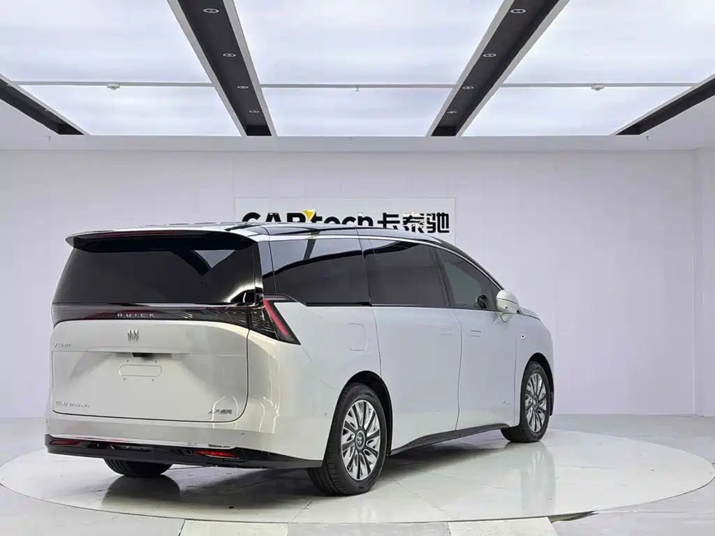 Buick Electra Encasa — миниатюра 5