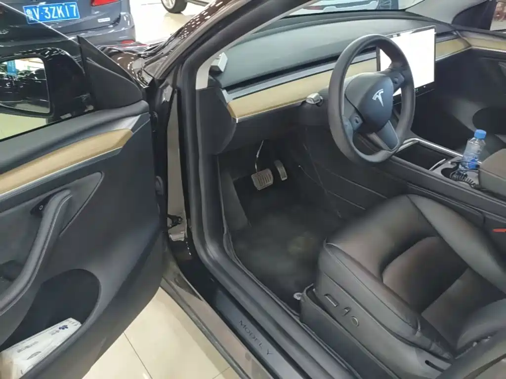 Tesla Model Y — миниатюра 16