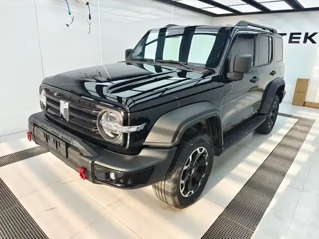 2025 TANK 300
