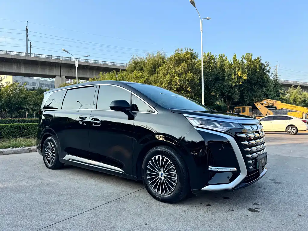 Denza Denza D9 — миниатюра 2
