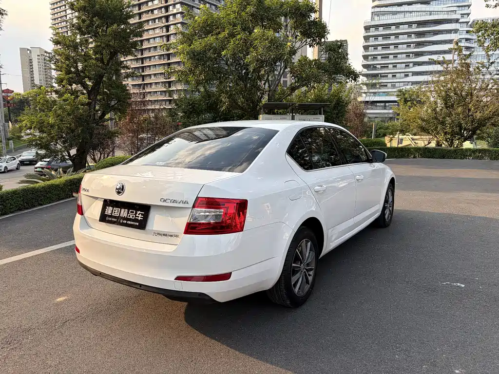 Skoda Octavia — миниатюра 13