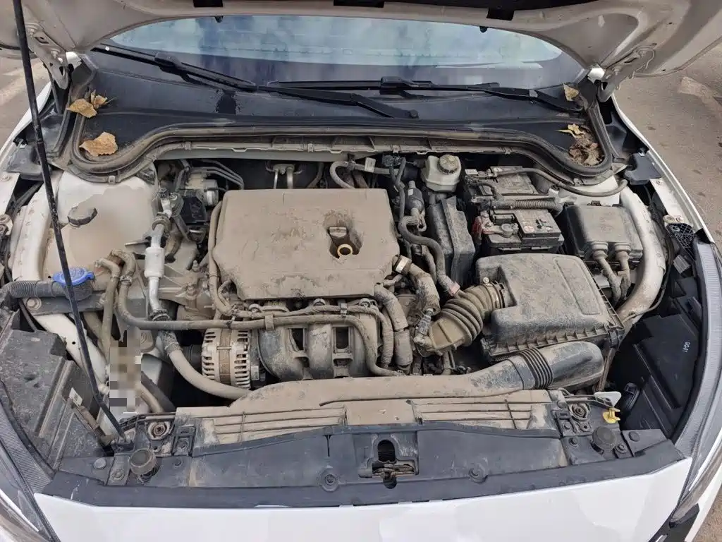 Ford Focus — миниатюра 11