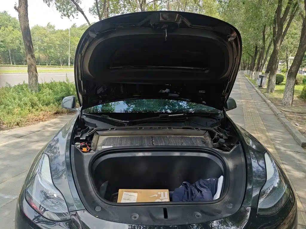 Tesla Model Y — миниатюра 11