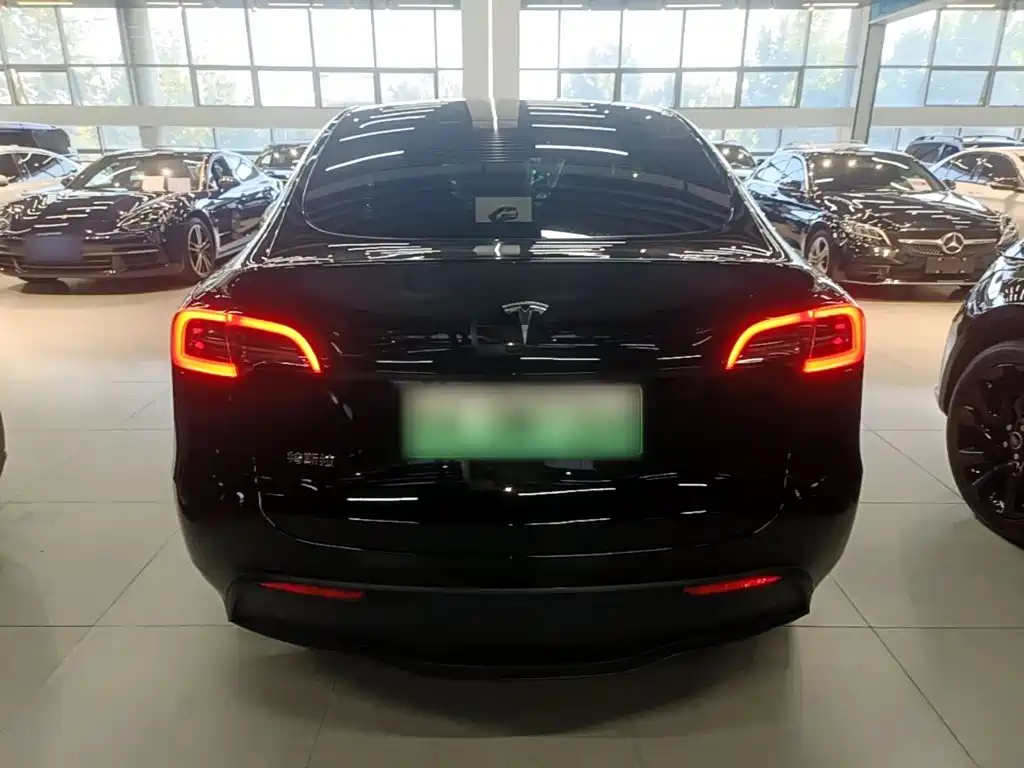 Tesla Model Y — миниатюра 6