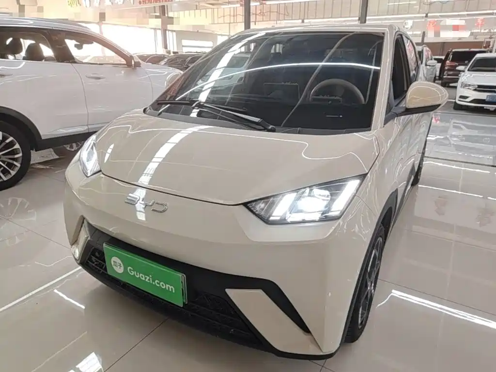 BYD Seagull