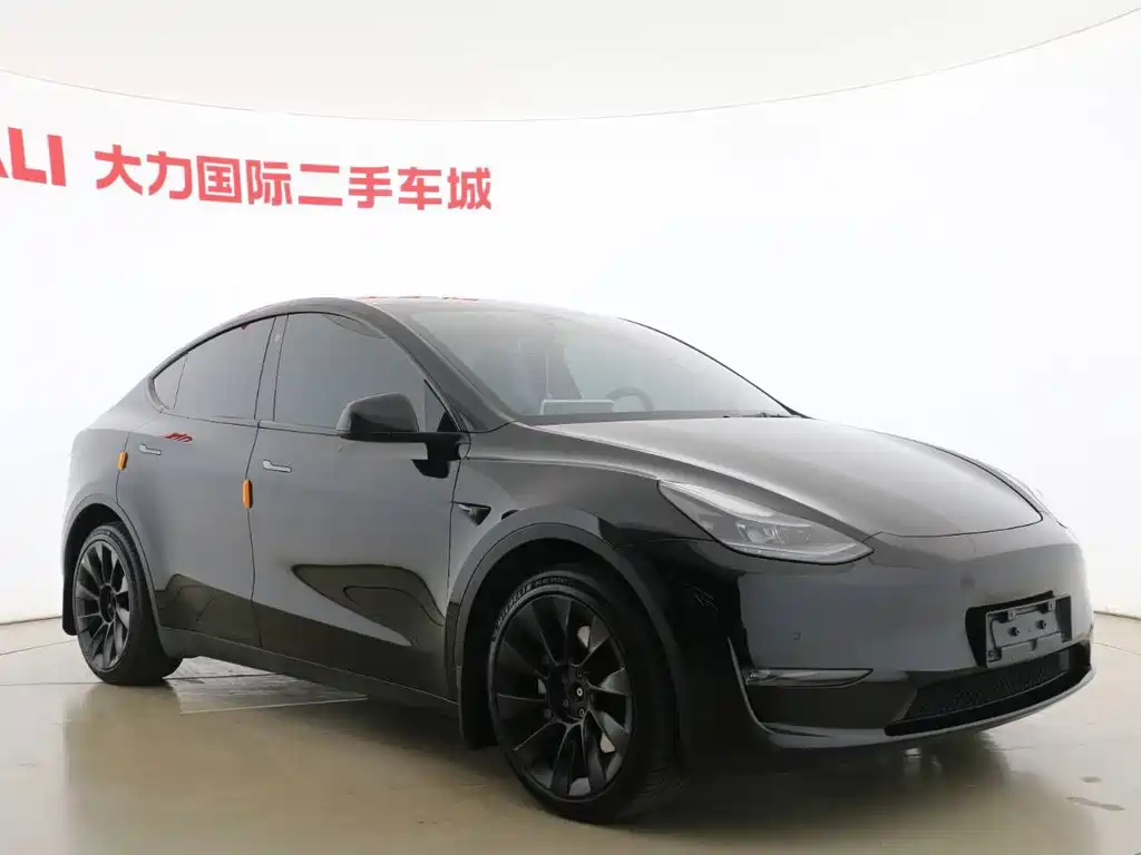 Tesla Model Y — миниатюра 3