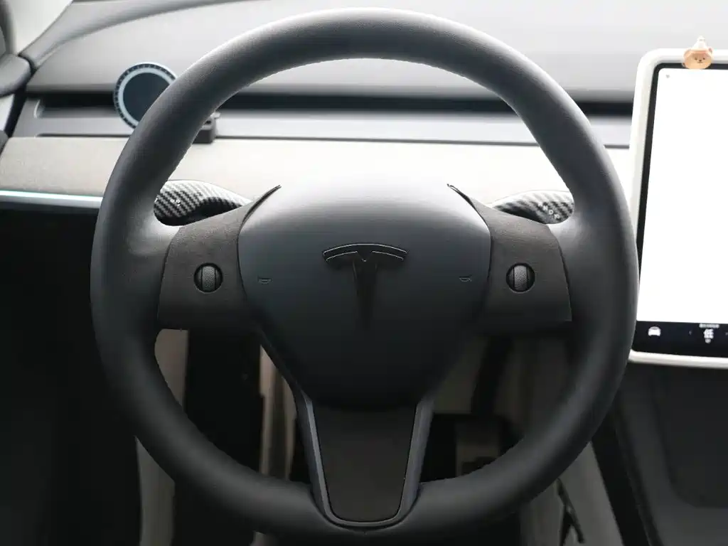 Tesla Model Y — миниатюра 14
