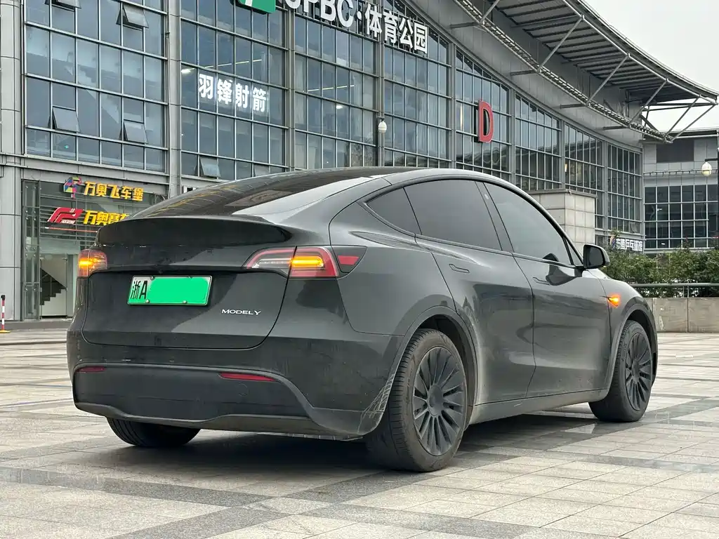 Tesla Model Y — миниатюра 6