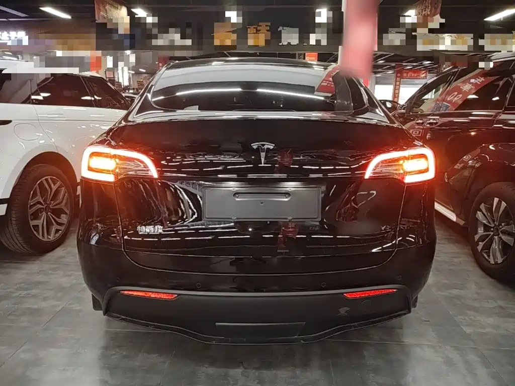 Tesla Model Y — миниатюра 6