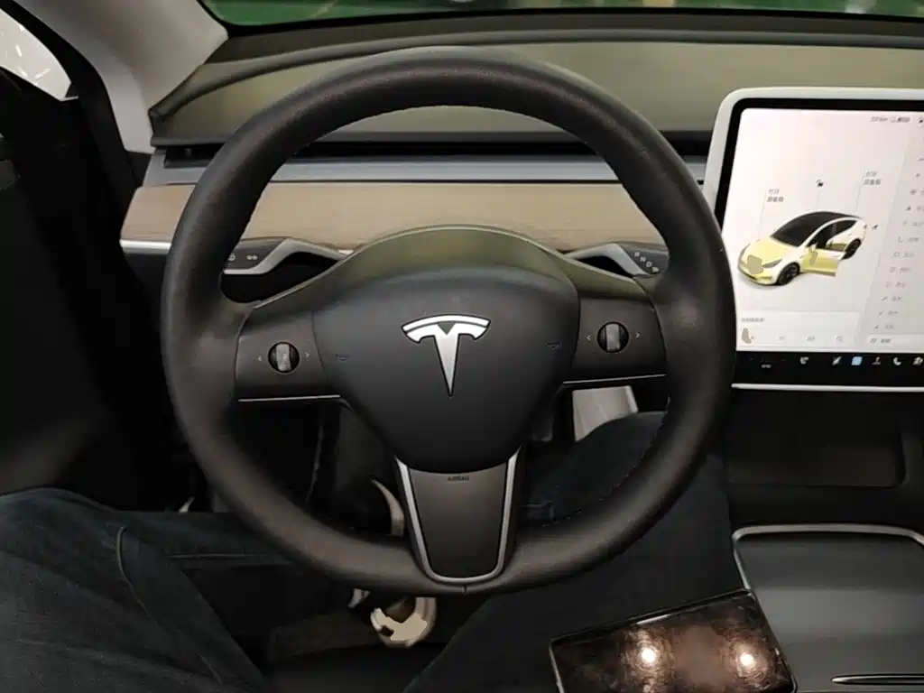 Tesla Model Y — миниатюра 11