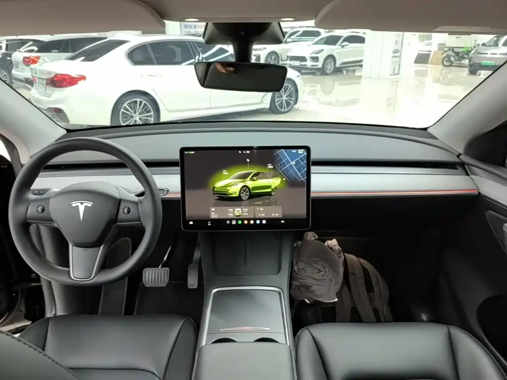 Tesla Model Y — миниатюра 10
